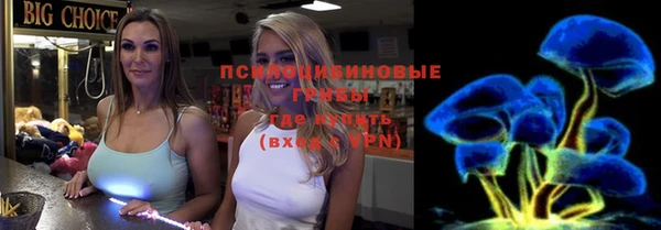 амф Магас