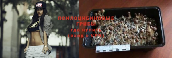 амф Магас