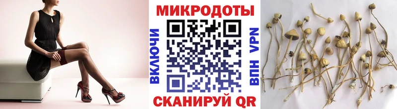 Псилоцибиновые грибы Psilocybe  как найти наркотики  Цимлянск 